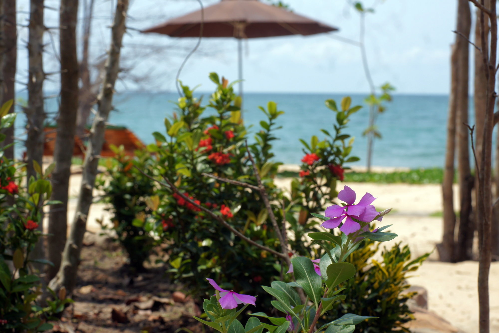 Gold Sand Beach Bungalow Phú Quốc Exterior photo